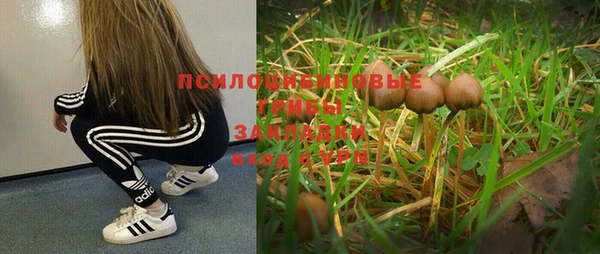 стаф Богородск