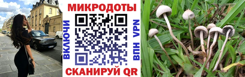 закладки  Стерлитамак  Псилоцибиновые грибы прущие грибы 